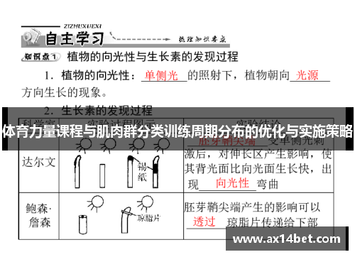 体育力量课程与肌肉群分类训练周期分布的优化与实施策略